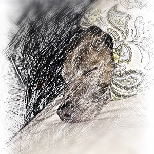 Meet your Posher, Allison